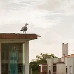 شقة Ocean Avenue Apt, Beach, Surf, Golf, Sunsets,walks *